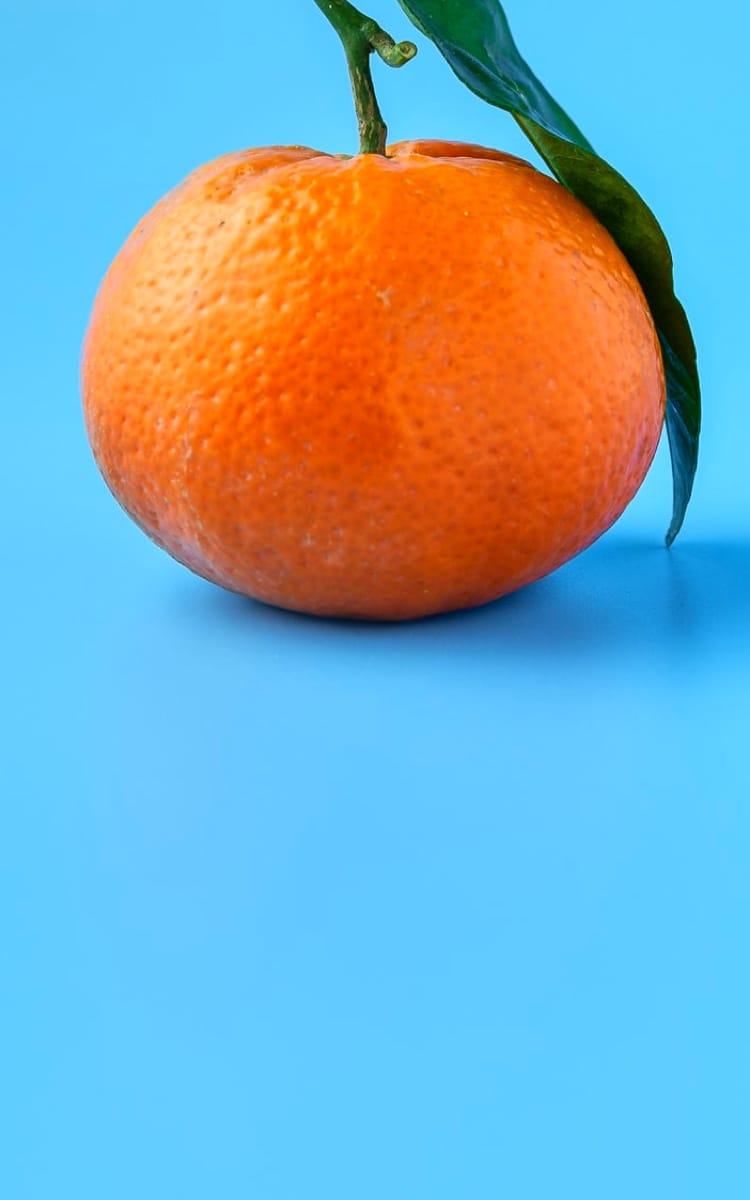 orange fruit image in graphic design section